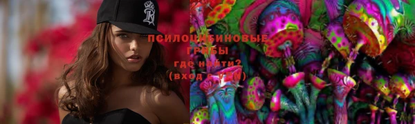 круглые Каменка