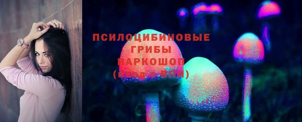 твердый Каменск-Шахтинский